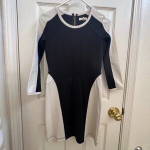Silence + Noise B&W Colorblock Bodycon Dress Size S BRAND NEW
